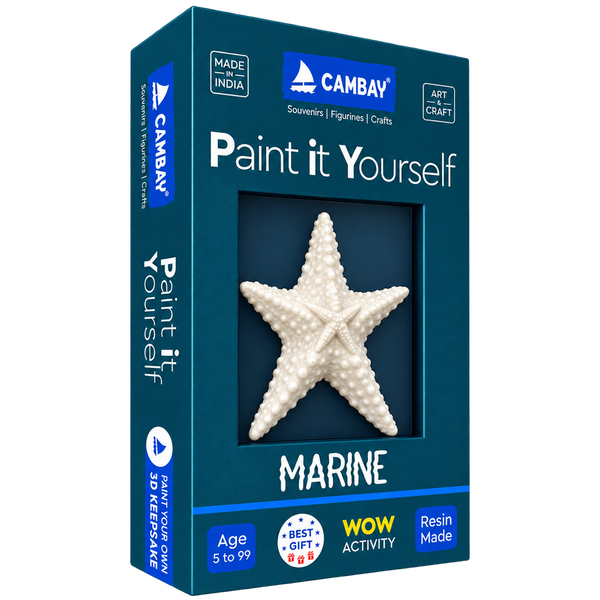 CAMBAY 3D Marine Starfish Paint it Yourself Kit