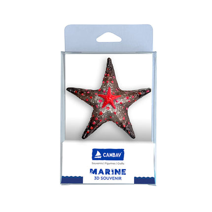 MUMMA-STARFISH