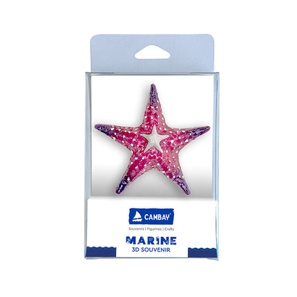 MUMMA-STARFISH