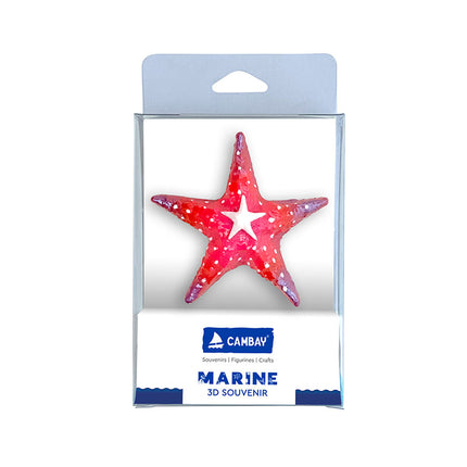 MUMMA-STARFISH