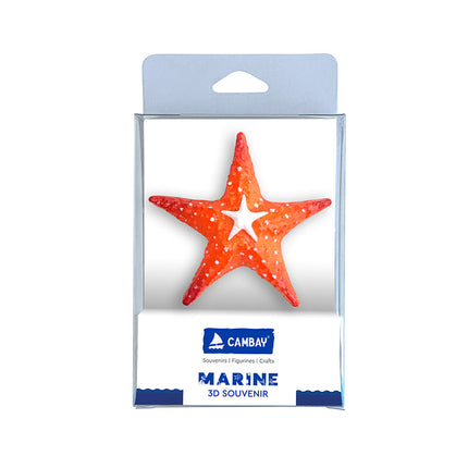 MUMMA-STARFISH