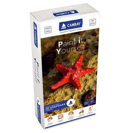 3D Starfish Paint it Yourself Kit