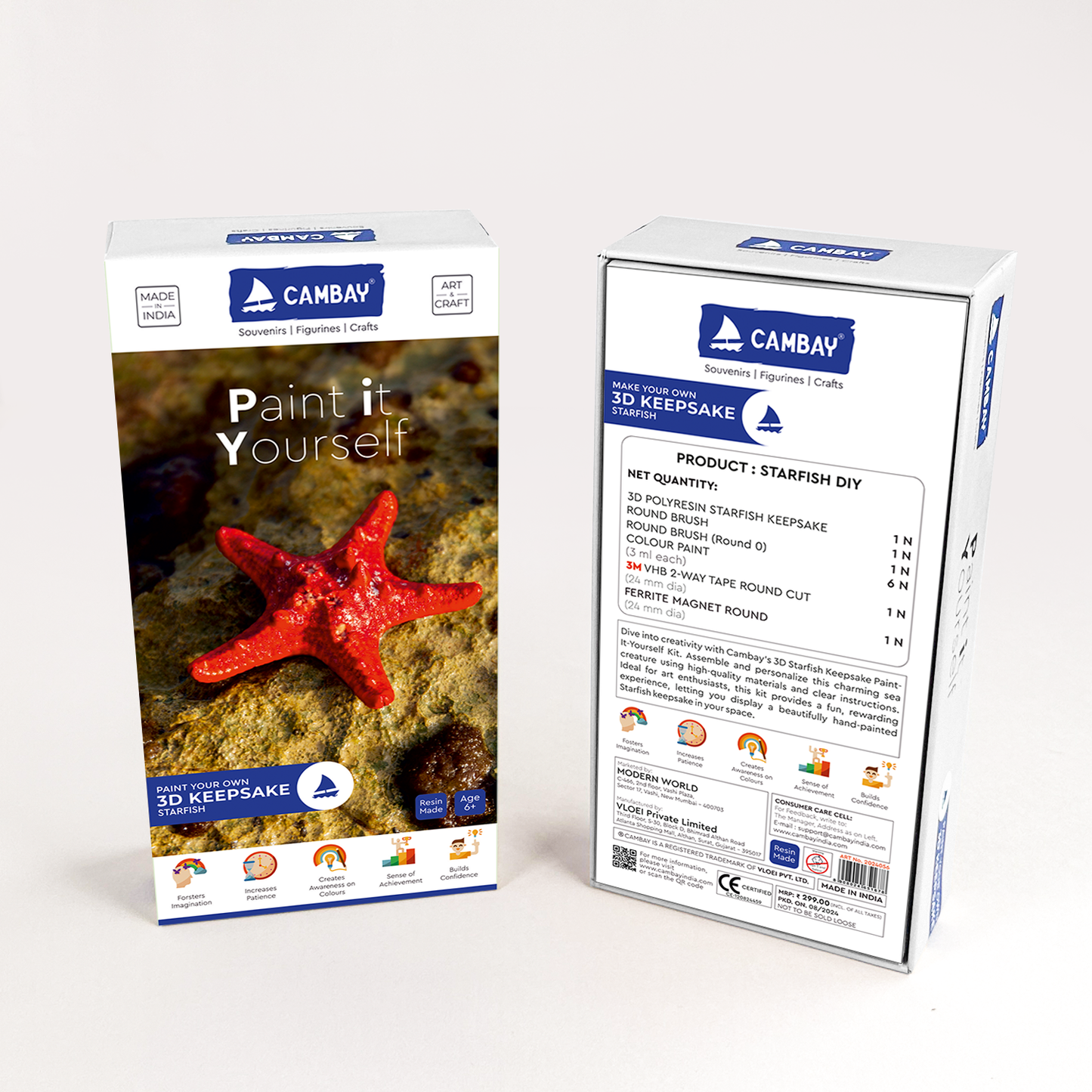 3D Starfish Paint it Yourself Kit